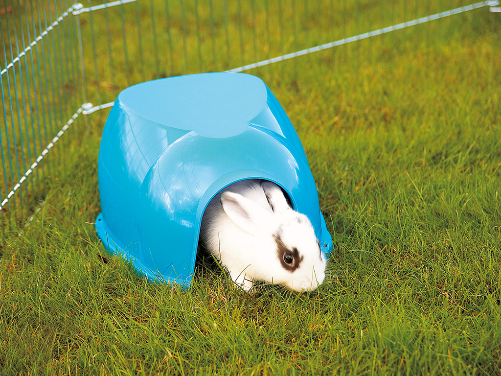 בית לארנב COCOON מדיוני סביק