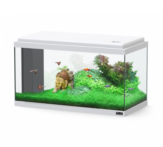 אקווריום אקווה אטלנטיס ביו 60 סמ לבן 60L