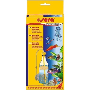 ארטמיה קיט רביה-סרה