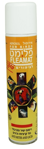 פלימט לציפורים