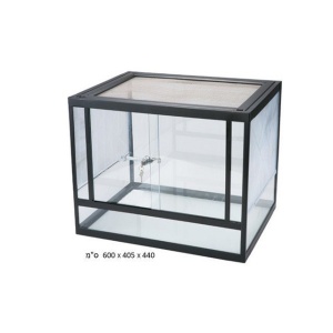 טרריום CWG-605 בויו