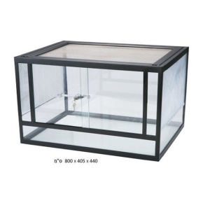 טרריום CWG-805 בויו