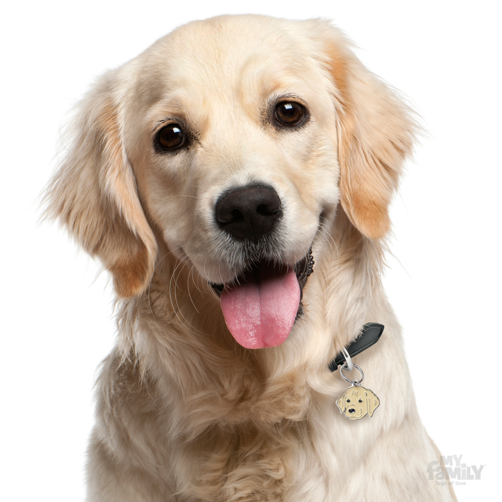 תג שם GOLDEN RETRIVER