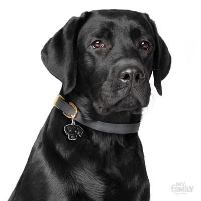 תג שם LABRADOR BLACK