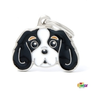 תג שם CAVALIER KING TRICOLOR