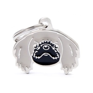 תג שם PEKINGESE