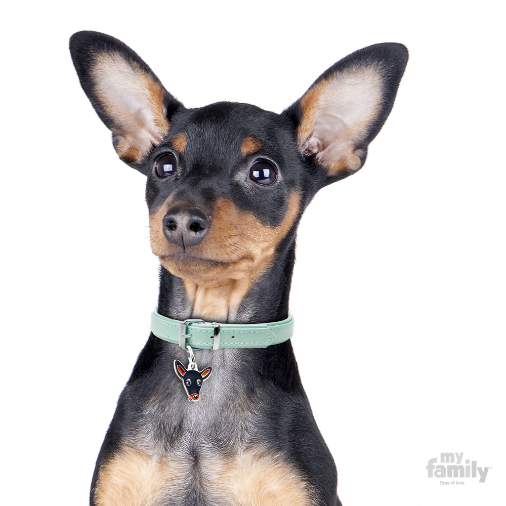תג שם PINSCHER BLACK