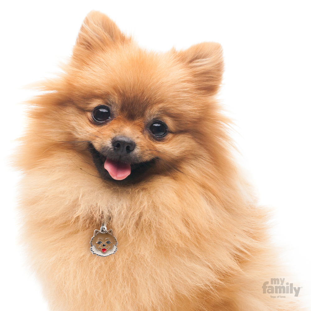 תג שם POMERANIAN
