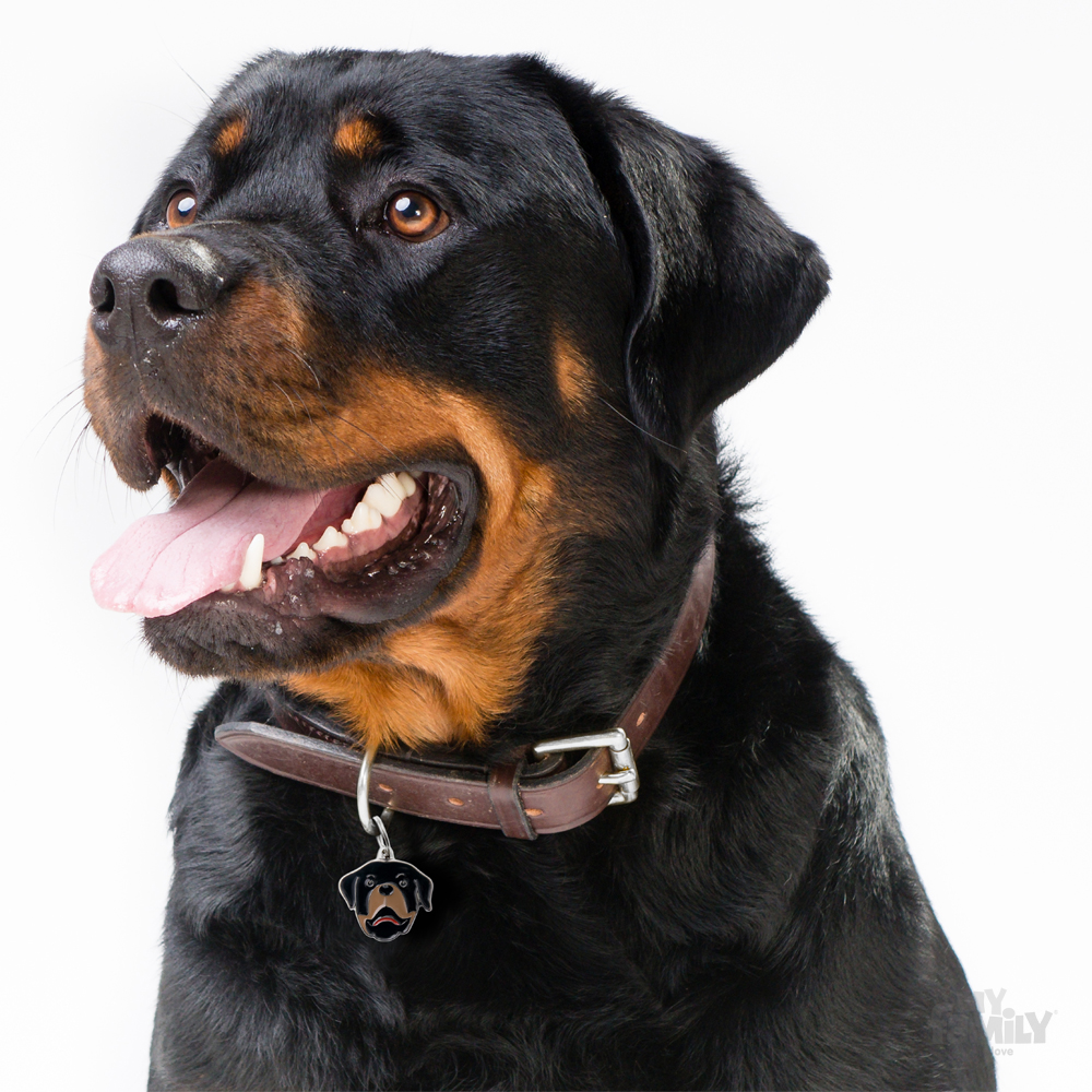 תג שם ROTTWEILER