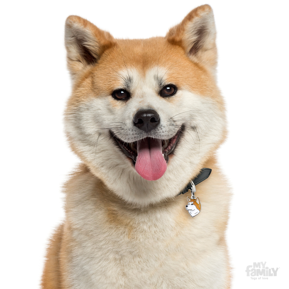 תג שם SHIBA INU