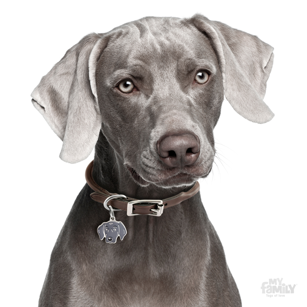 תג שם WEIMARANER