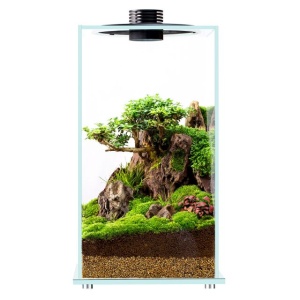 BIOLOARK FD250