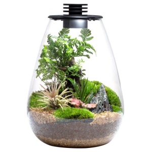 BIOLOARK SD200