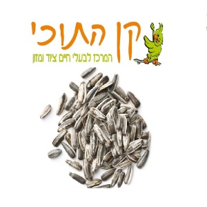 גרעיני חמניה ארוז קן התוכי 800 גרם