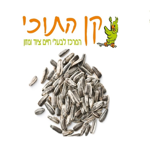גרעיני חמניה ארוז קן התוכי 800 גרם