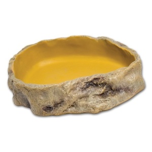 כלי מים גדול רפטי זו